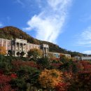 동원대학교 이미지