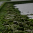 거금마루 이미지