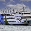 고래스크린 이미지