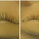 이미호아이래쉬 이미지