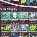 좌광천변 모전교 앞 | 기장 정관 좌광천 효자길 생태학습원 꽃밭 거쳐 좌광천따라 동해선 좌천역까지 걷는다는 것은 .