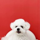 씻고놀개 이미지