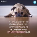 월 이미지