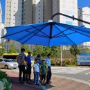 죽림1로가로수 이미지