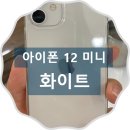 아이폰 12 미니 화이트 대전 SKT 트롤대리점 용문점에서 개통하다