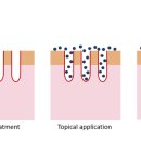 톡바른경희한의원 이미지