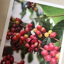 행안농장 이미지