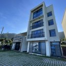 림바발리스 이미지