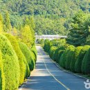 전라남도산림박물관 이미지