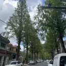 사림동152 이미지