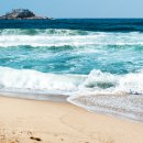 주안부동산중개 이미지