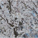 순굴재하우스펜션 이미지