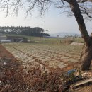 증도해뜨는 이미지