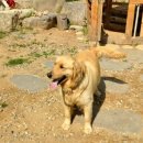 놀자네농원 이미지