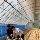 다온농장2 이미지