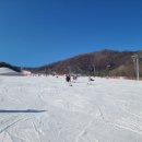 참깨펜션 이미지