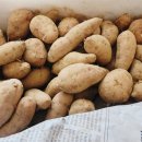 장정농장 이미지