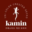 카민렙타일