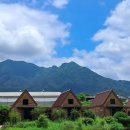 허브빌리지(Herb village) 이미지