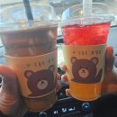 속초주막 | 너울주막속초점 속초여행 맛집은 필수!인기메뉴 먹어보기