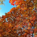 세븐일레븐 광릉수목원점 이미지