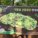 진밭골산림욕장 이미지