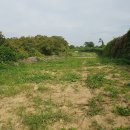 바이오밸리공인중개사사무소 이미지