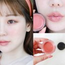 샤넬 립앤치크밤 헬시핑크 구매후기 : 온천광 코랄핑크 블러셔 / 샤넬 레드까멜리아 립앤치크