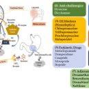 이지약국 이미지
