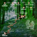 [울산트레킹클럽]5월9일(토) 남해바래길&amp;비자림해풍길 힐링 트레킹 이미지