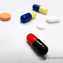 다나아 동물병원 이미지