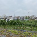 신길농장 이미지