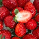 심심한의원 | 다이어트 한약 후기 핑크환 한방한의원 솔직 후기