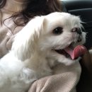 별산펜션 이미지