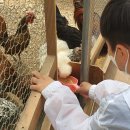 동동바구;피카그린