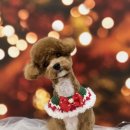 굿데이몽 이미지