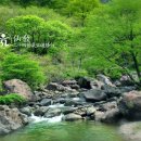 가례(여) 이미지