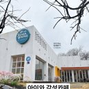 가막들공원 | 우산 쓰고 들어간 순간 반했다🌧 포일동 ‘그린그라스’ 실제 후기+아이와 가기 딱 좋은 이유 총정리