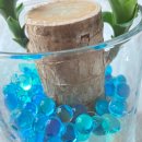 금계초교병설 이미지