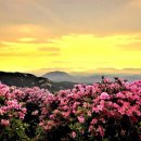 지리산 이미지