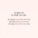 ONEMORE(원모어) 이미지