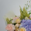 플로시아 이미지
