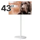 DM스크린 이미지