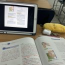 비아미래약국 | O월