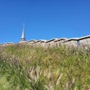 중화요리서울반점 이미지