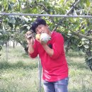 김성환 농장 이미지