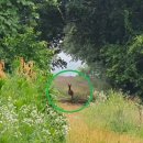 숲 태양광발전소 이미지