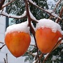 행복한 발자국 이미지