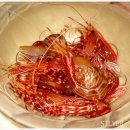 울릉도꽃새우 이미지