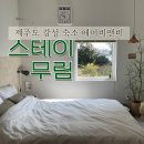 위미돌담스테이 | 제주도 숙소 에어비앤비 위미향 감성 ! 스테이무림 림림방 후기
